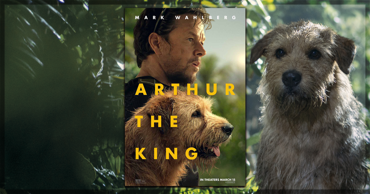Arthur the King Movie Review Wahlberg