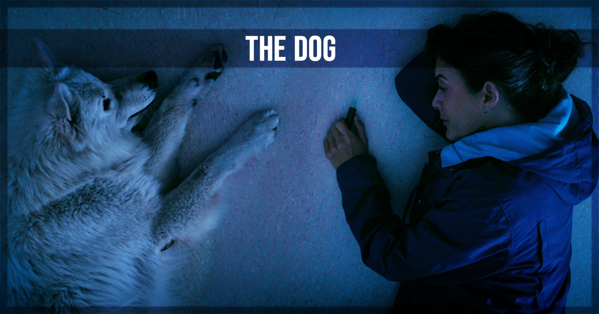 The Dog Hollyshorts Review