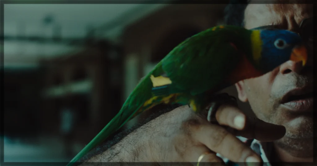 This is a banner for a review of DUI Shaw. Image courtesy of the filmmakers.