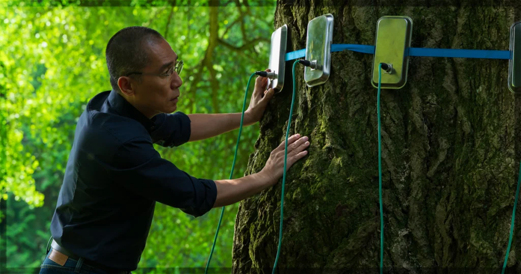 This is a banner for a review of Silent Friend. Image courtesy of the filmmakers.