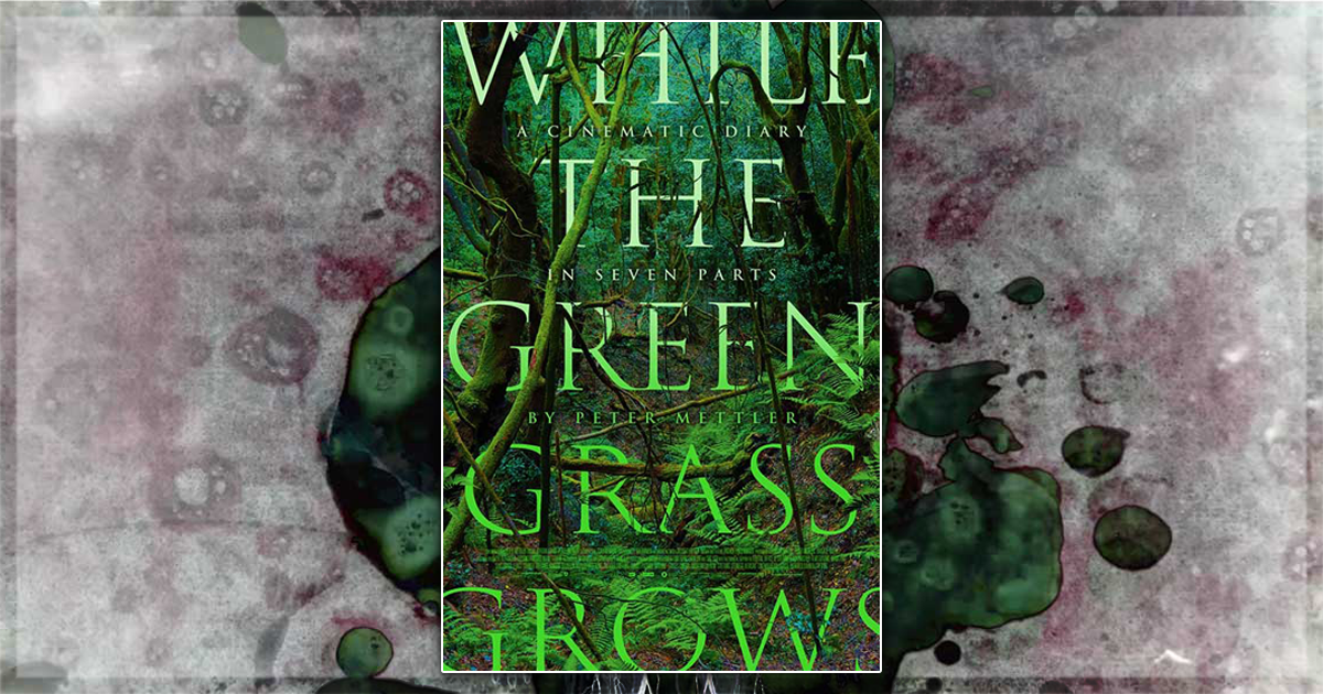This is a banner for a review of the documentary While The Green Grass Grows. Image courtesy of the filmmakers.