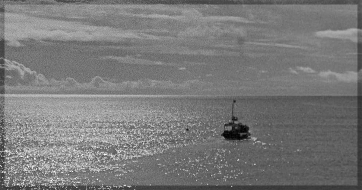 This is a banner for a review of Bait. Image courtesy of the filmmakers.