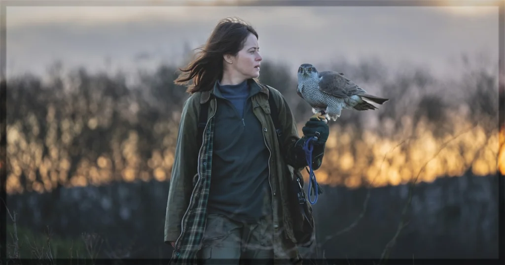 This is a banner for a review of H is for Hawk. Image courtesy of the filmmakers.