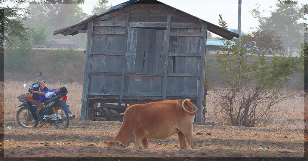 This is a banner for a review of Back Home. Image courtesy of the filmmakers.