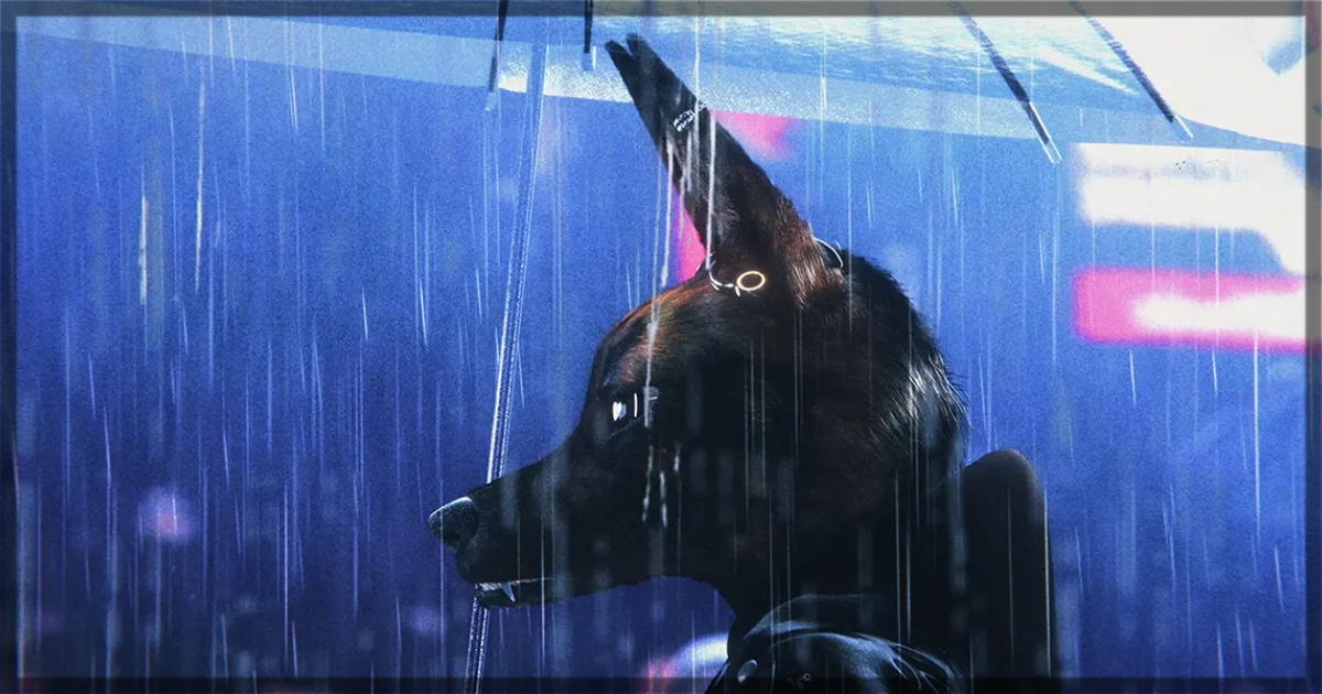 Bouchra Review banner