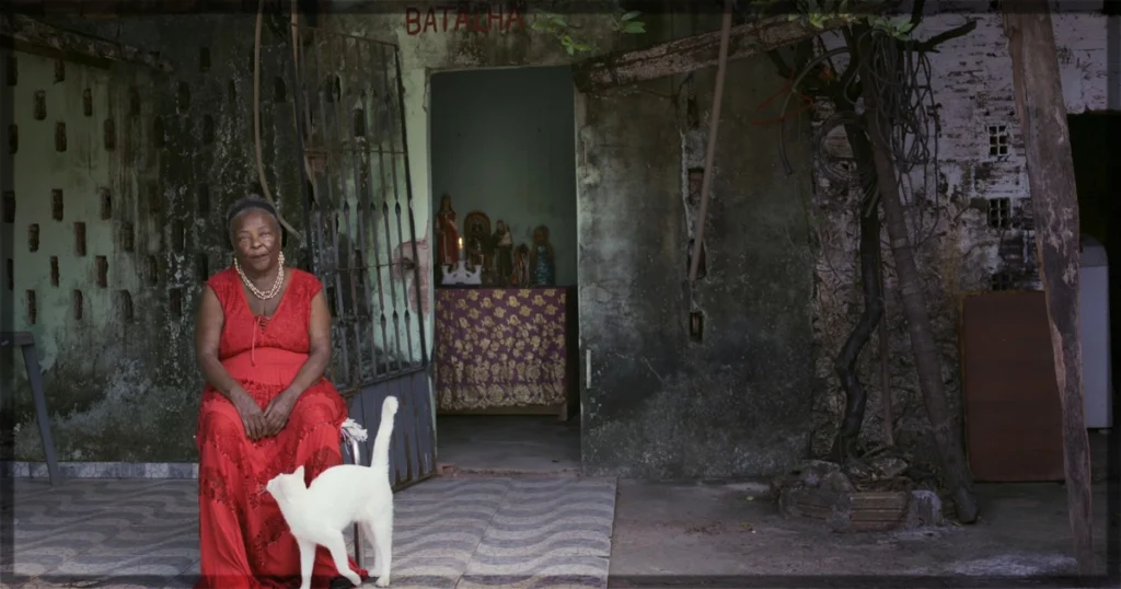 This is a banner for a review of the documentary No Sunshine in Here. Image courtesy of the filmmakers.