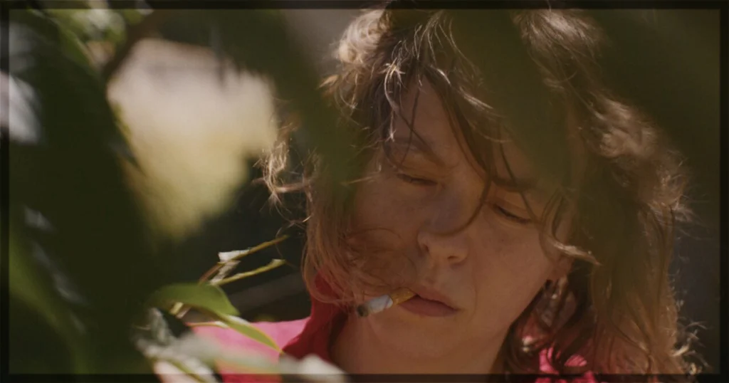 This is a banner for a review of the documentary La Belle Annee. Image courtesy of the filmmakers.