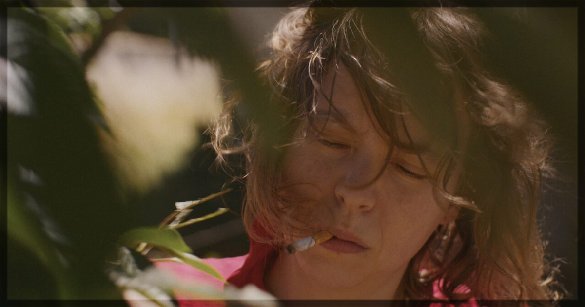 This is a banner for a review of the documentary La Belle Annee. Image courtesy of the filmmakers.