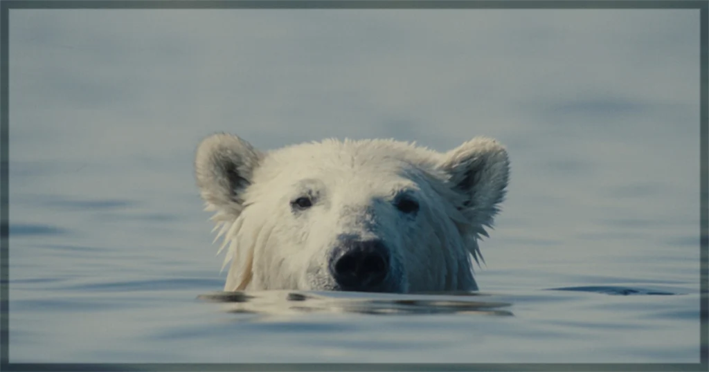 This is a banner for a review of the documentary Nuisance Bear. Image courtesy of the filmmakers.