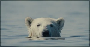 This is a banner for a review of the documentary Nuisance Bear. Image courtesy of the filmmakers.