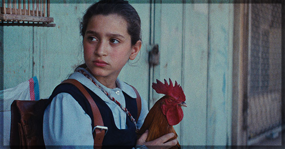 This is a banner for a review of the movie My President's Cake. Image courtesy of the filmmakers.