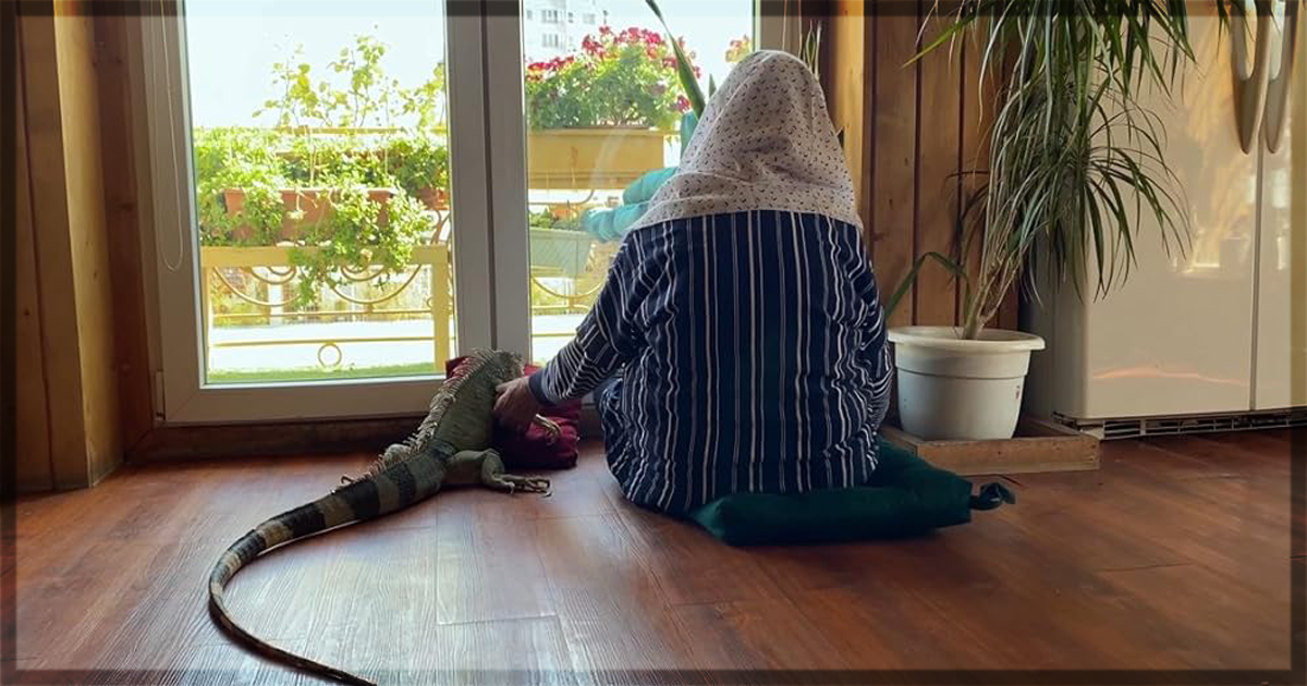 This is a banner for a review of the short film Life. Image courtesy of the filmmakers.