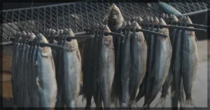 This is a banner for a review of the True/False documentary movie The Queen and the Smokehouse. Image courtesy of the filmmakers.